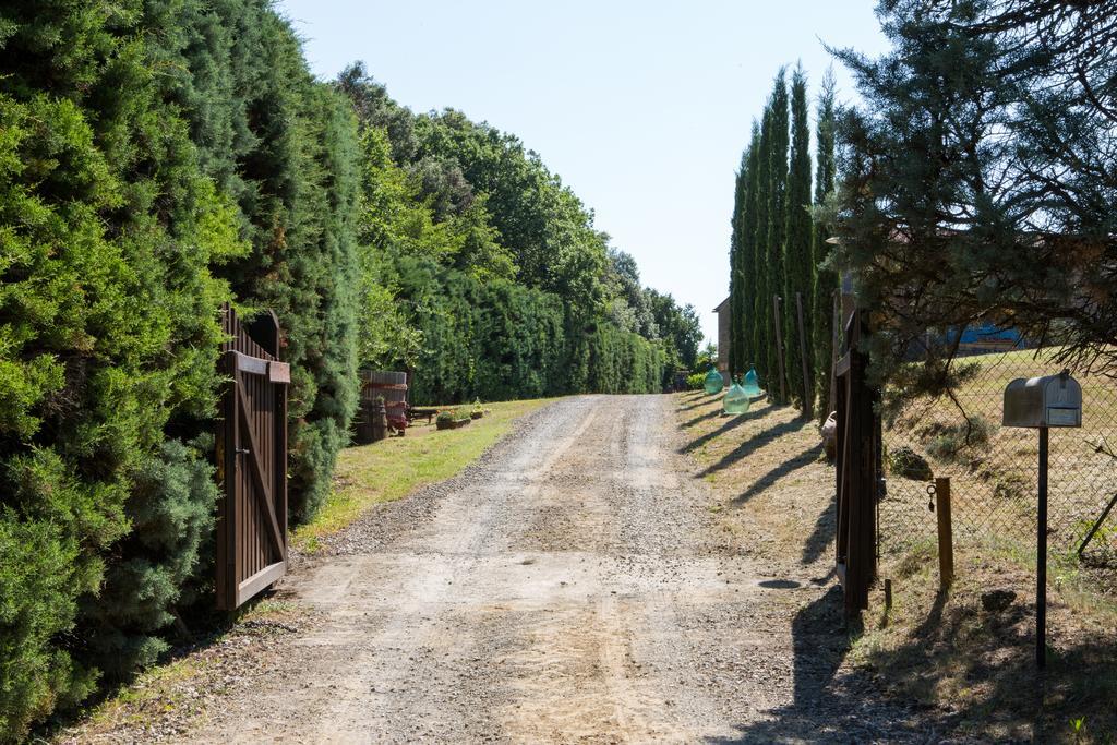 Agriturismo la Vigna San Gimignano Exterior foto